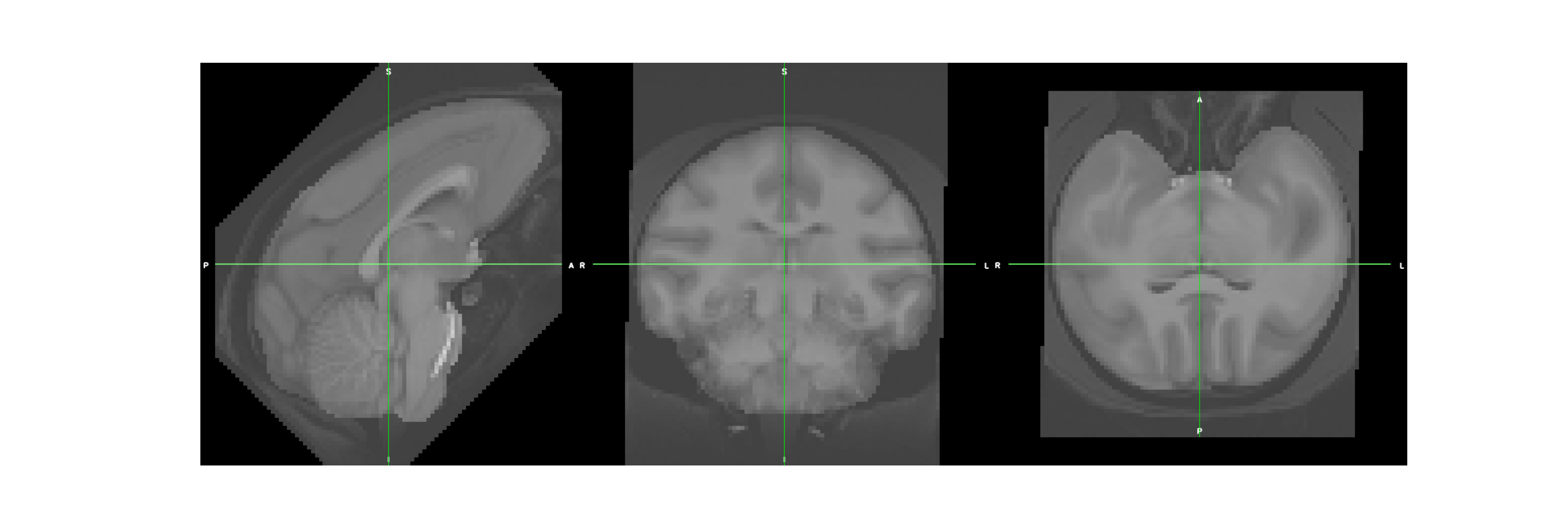 plot segment macaque ants based